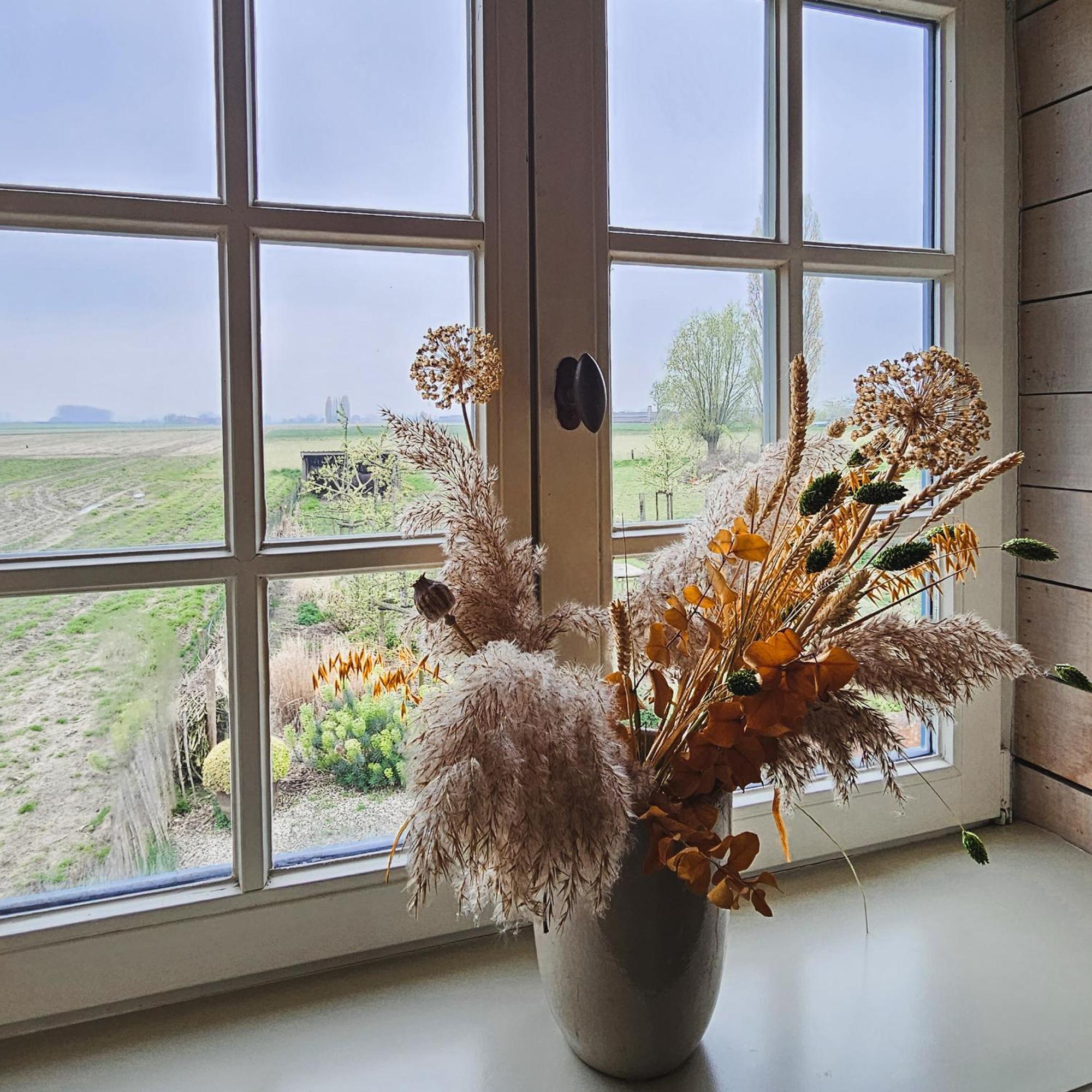 B&B Droomkerke Ruiselede Buitenkant foto