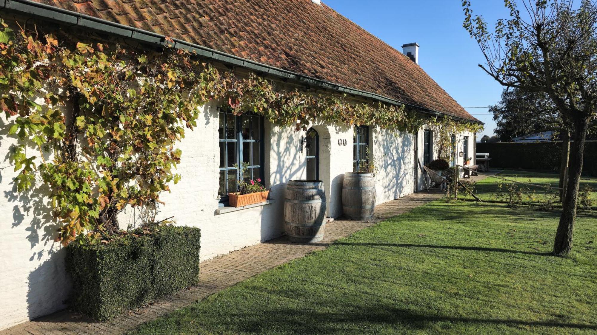 B&B Droomkerke Ruiselede Buitenkant foto