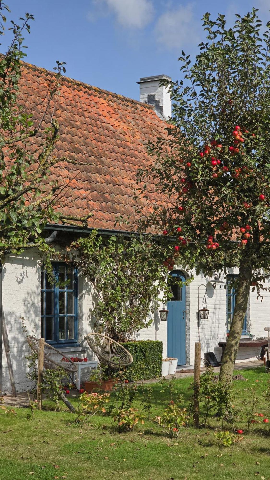 B&B Droomkerke Ruiselede Buitenkant foto